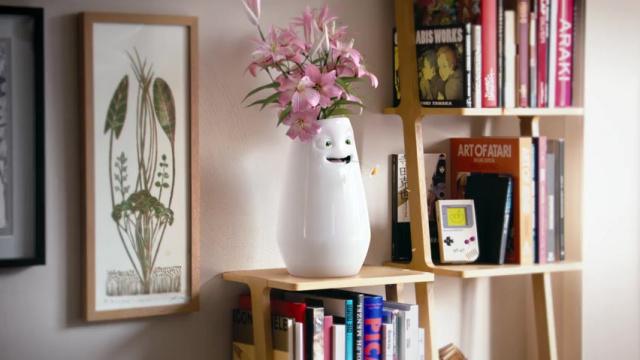 Vase Film